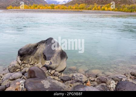 Das Ufer des türkisfarbenen Flusses Katun mit runden glatten Steinen im Herbst in Altai. Stockfoto