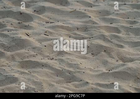 Natürlicher Sandstrand mit Müllpartikeln. Dreckiger Sand am Strand. Konsistenz von Strand-Sand Stockfoto