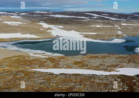 Tundra in Norwegen, mit Feuchtgebieten, Tümpeln, Schnee, Schneefeldern, Nordkinnhalbinsel, Nordkinn-Halbinsel, Nordkinn, Nordkyn, Finnmark, Nord-Nord Stockfoto