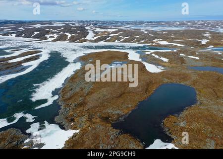 Tundra in Norwegen, mit Feuchtgebieten, Tümpeln, Schnee, Schneefeldern, Nordkinnhalbinsel, Nordkinn-Halbinsel, Nordkinn, Nordkyn, Finnmark, Nord-Nord Stockfoto