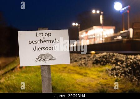 MOLKWERUM - ARCHIVFOTO - Warnschild mit dem Text 'Achtung vor geschützten Tierarten' an der Molkwerum-Koudum Station, wegen der Anwesenheit von Dachs. In Friesland, in der Nähe von Molkwerum, ist kein Zugverkehr aufgrund von Dachsen möglich. ProRail arbeitet an einer Genehmigung, um die Dachs von der Strecke in ein neu gebautes künstliches Schloss zu bringen. ANP JARING RISPENS niederlande raus - belgien raus Stockfoto