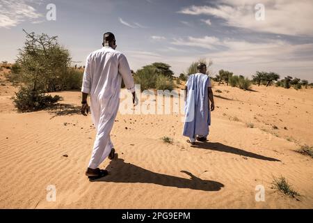 Brahim Ramdhane, ehemaliger Sklave und Gründer seiner NGO Sahel Fondation, zeigt seinem Sohn Ismael das Dorf Ain Salama in der Nähe von Boutilimit in Mauretanien, wo er als Sklave aufwuchs und für seine Master-Familie arbeiten musste. Er kämpft gegen die Sklaverei, gegen die Unterdrückung seines Haratin-Stammes und für faire Bildungsmöglichkeiten, seit er sich als Teenager befreit hat. Stockfoto