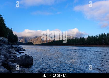 Morgenlandschaft des Bergflusses Katun mit Steinbänken im Schatten in Altai. Stockfoto