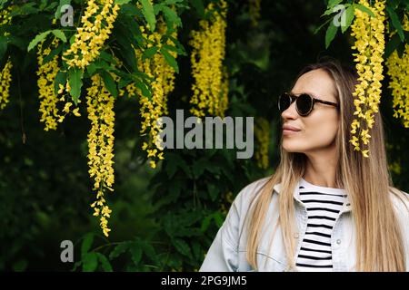 Eine Frau bewundert die blühenden Anagyroides von Laburnum, die im Frühling im Park spazieren Stockfoto