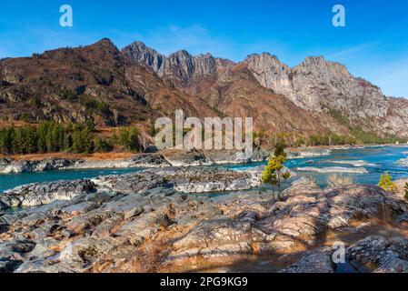 Felsenbänke in den Bergen am Katun in Altai in Sibirien. Elandinsky-Stromschnellen. Stockfoto