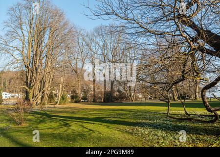 Thun, Schweiz, 12. Februar 2023 Naturlandschaft im Schadau Park an einem sonnigen Tag Stockfoto