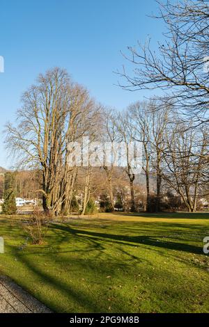 Thun, Schweiz, 12. Februar 2023 Naturlandschaft im Schadau Park an einem sonnigen Tag Stockfoto