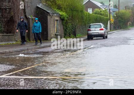 Clonakilty, West Cork, Irland. 21. März 2023. Die Straßen in West Cork überfluteten heute nach 24 Stunden unaufhörlichen Regens und einer astronomischen Flut. Der Regen wird die ganze Nacht andauern, was morgen früh bei Flut zu weiteren Überschwemmungen führen wird. Kredit: AG News/Alamy Live News Stockfoto