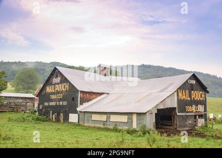 Ländliche Szene mit einer Westmorland County, Western PA Scheune mit Posttaschen-Tabak-Schildern auf zwei senkrechten Seiten. handbemalte „Chew Mail Pouch“-erw Stockfoto