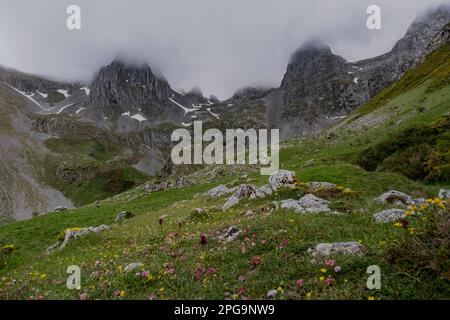 Frühling im Mampodre-Massiv, Leon, Spanien Stockfoto