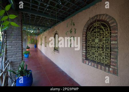 jardin majorelle, marrakesch, magreb, nordafrika, marocco, Stockfoto