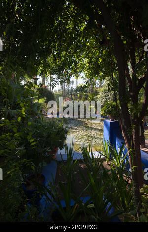 jardin majorelle, marrakesch, magreb, nordafrika, marocco, Stockfoto