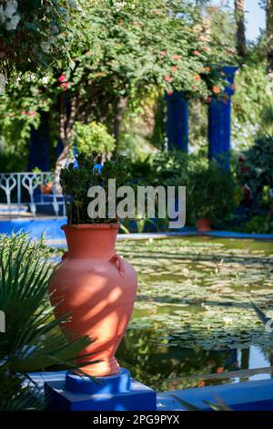 jardin majorelle, marrakesch, magreb, nordafrika, marocco, Stockfoto