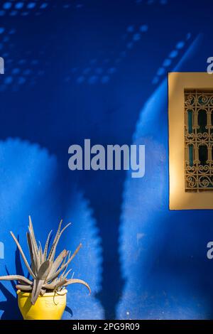 jardin majorelle, marrakesch, magreb, nordafrika, marocco, Stockfoto