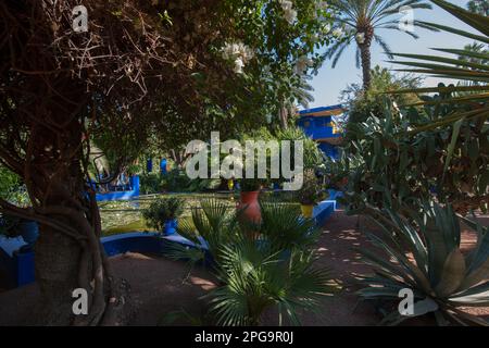 jardin majorelle, marrakesch, magreb, nordafrika, marocco, Stockfoto