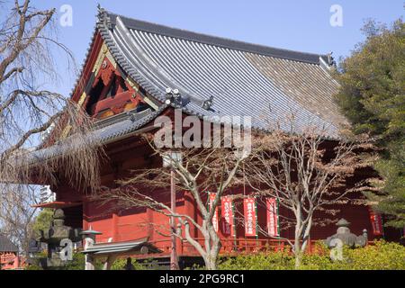 Japan, Tokio, Ueno, Kiyomizu Kannon-do-Tempel, Stockfoto