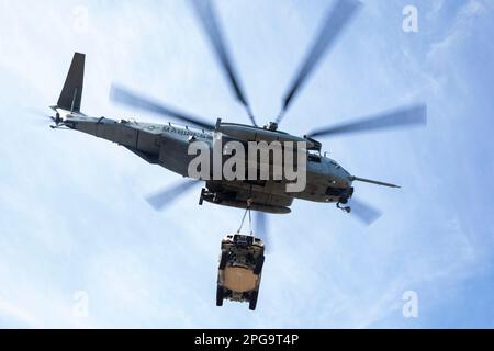 11. März 2023 - Marine Corps Auxilary Landing FI, North Carolina, USA - Ein US-Amerikanisches Unternehmen Marine Corps CH-53E Super-Hengst-Hubschrauber, zugewiesen an Marine Medium Tiltrotor Squadron 162 (verstärkt), 26. Marine Expeditionary Unit (MEU), startet mit einem Joint Light Tactical Vehicle während der MEU-Übung III auf Marine Corps Auxiliary Landing Field Bogue, 11. März 2023. Während des Aufzugs bereiteten die Marines Vorräte und Fahrzeuge vor, die mit Flugzeugen in einer simulierten Expeditionsumgebung entnommen werden sollten, sowie die Verschärfung der Integration zwischen Logistik und Luftkampf el Stockfoto