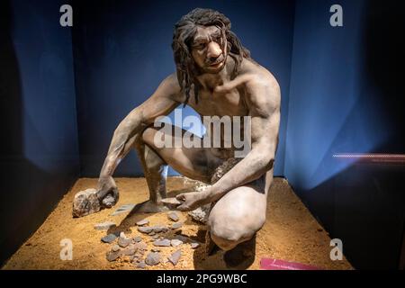 Lebensgroße Skulptur von Homo heidelbergensis im Inneren des Madrider regionalen Archäologischen Museums in Alcala de Henares, Provinz Madrid, Spanien. Das Re Stockfoto