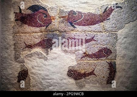 Fischt Mosaik aus dem IV. Jahrhundert im Inneren des Madrider regionalen Archäologischen Museums in Alcala de Henares, Provinz Madrid, Spanien. 3.-4. Jahrhundert n. Chr Stockfoto