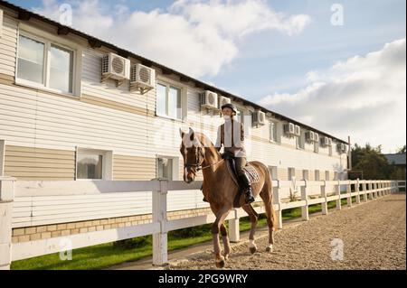 Glückliche Frau, die an sonnigen Tagen auf einem braunen Pferd im Koppel im Freien reitet Stockfoto