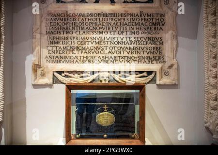 Im Inneren der Kapelle der Universität Alcala de Henares, Provinz Madrid, Spanien. Der Grabstein der Nische des Arztes Francisco Vallés. Die Kapelle von Stockfoto