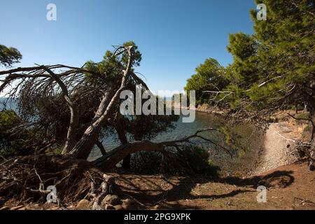 punta licosa, castellabate, salerno, kampanien, italien, Stockfoto