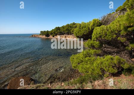 punta licosa, castellabate, salerno, kampanien, italien, Stockfoto