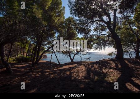 punta licosa, castellabate, salerno, kampanien, italien, Stockfoto