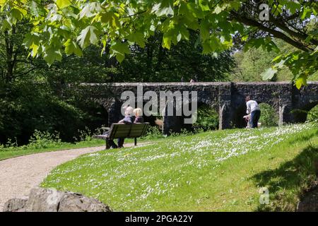 An einem sonnigen Tag entspannen Sie sich auf der Parkbank neben der Deerpark Bridge, einer bogenförmigen Steinbrücke über dem Six Mile Water River in den Antrim Castle Gardens Stockfoto