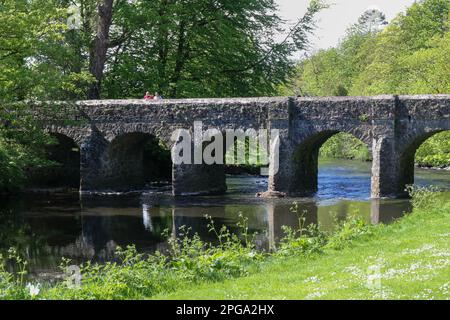 Zwei Personen, die am sonnigen Frühlingstag von der Deerpark Bridge aus in den Fluss blicken, bogenförmige Steinbrücke über den Six Mile Wasserfluss in den Antrim Castle Gardens Stockfoto