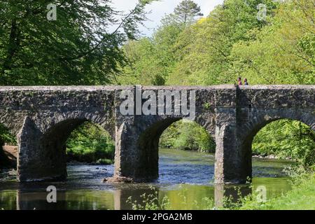 Zwei Personen stehen an einem sonnigen Frühlingstag im Mai in Antrim auf einer bogenförmigen Steinbrücke über dem Six Mile Wasserfluss in den Antrim Castle Gardens. Stockfoto