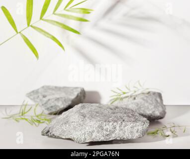 Podium aus Naturstein und Beton mit tropischen Blättern im Sonnenlicht. Stockfoto
