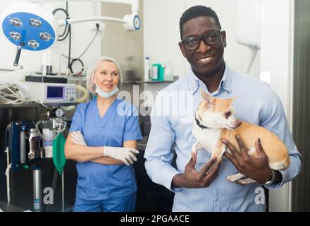 Glücklicher afroamerikanischer Mann hält ihren geliebten Hund chihuahua in ihren Armen, nachdem er von einem Tierarzt untersucht wurde Stockfoto