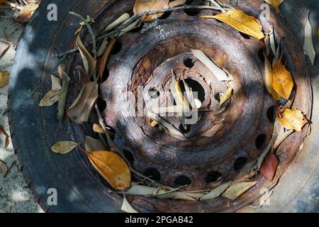 Er fiel über ein altes rostiges Autorad, das mit trockenen Blättern übersät war und auf dem Sand lag. Nahaufnahme. Stockfoto