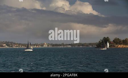 557 Rennboote, die auf den Gewässern rund um Shark Island mit Rose Bay im Hintergrund segeln. Hafen Von Sydney-Australien. Stockfoto