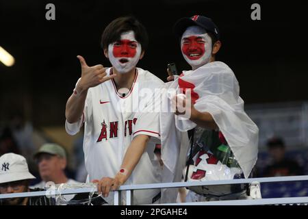 Miami, Usa. 21. März 2023. Japanische Baseballfans posieren für ein Foto, während sie auf den Beginn des World Baseball Classic Final 2023 gegen die Vereinigten Staaten in Miami, Florida, am Dienstag, den 21. März 2023 warten. Foto: Aaron Josefczyk/UPI Credit: UPI/Alamy Live News Stockfoto