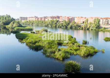 Tormes und die Stadt Salamanca dahinter (Spanien). Stockfoto