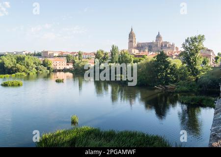 Tormes und Kathedrale der Stadt Salamanca in Spanien. Stockfoto