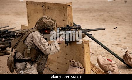 EIN US-AMERIKANISCHER Marine mit 2. Bataillon, 7. Marineregiment, 1. Marine-Division, greift mehrere Ziele mit einem halbautomatischen M110-Scharfschützensystem von einer Barrikade aus an, um das Abfeuern von einer verdeckten Knieposition als Teil einer Ausbildung und Bewertung zu simulieren, die am Marine Corps Air Ground Combat Center Twentynine Palms, Kalifornien, durchgeführt wurde. 13. März 2023. Ein Trainingsteam des Waffenausbildungsbataillons und des Marine Corps Warfighting Lab bewertete Marines, die als Schützen eingesetzt wurden, auf ihre Fähigkeit, Präzisionsfeuer zur Unterstützung von Gewehroperationen mit dem M110 und dem MK13 abzufeuern Stockfoto