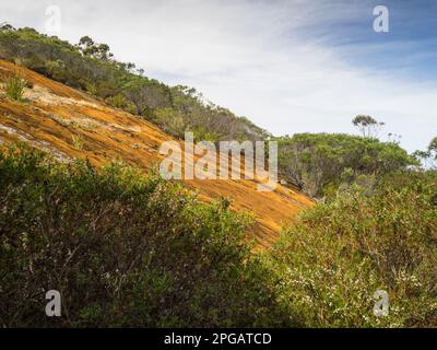 Granitplatte bedeckt mit Moos, Devils Slide, Porongurup-Nationalpark, Westaustralien. Stockfoto