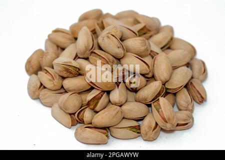 Die Pistazien, die Cashew-Familie, ein kleiner Baum, der aus einem Gebiet stammt, das Afghanistan, Zentralasien und den Iran umfasst. Der Baum produziert Samen, die sind Stockfoto