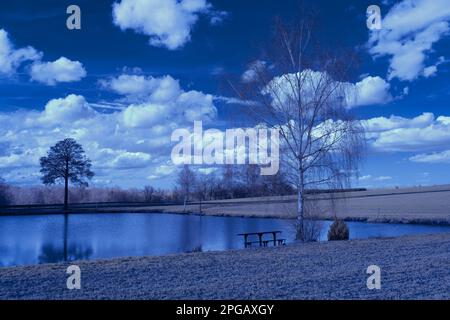 Infrarot-Landschaft mit 720 nm, strahlend weißer Vegetation, surrealen Wäldern und sanften Hügeln in Falschfarbenfotografie, traumhafte Naturszene Stockfoto