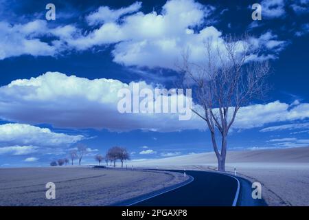 Infrarot-Landschaft mit 720 nm, strahlend weißer Vegetation, surrealen Wäldern und sanften Hügeln in Falschfarbenfotografie, traumhafte Naturszene Stockfoto