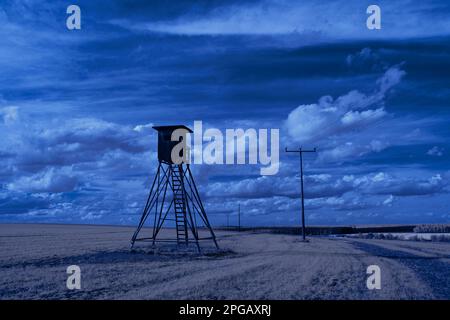 Infrarot-Landschaft mit 720 nm, strahlend weißer Vegetation, surrealen Wäldern und sanften Hügeln in Falschfarbenfotografie, traumhafte Naturszene Stockfoto
