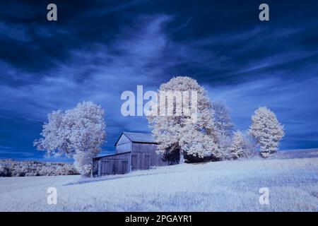 Infrarotfotografie - ir-Aufnahme von Landschaft unter dem Himmel mit Wolken - die Kunst unserer Welt im Infrarotspektrum Stockfoto