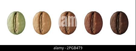 Schritte beim Rösten von Kaffeebohnen auf weißem Hintergrund, Collage. Bannerdesign Stockfoto