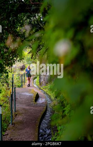 Wanderer auf Levada do Moinho, Ponta do Sol, Madeira, Portugal Stockfoto