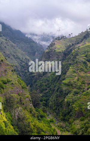 Levada do Moinho, Schlucht bei Ponta do Sol, Madeira, Portugal Stockfoto