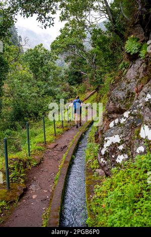 Wanderer auf Levada do Moinho, Ponta do Sol, Madeira, Portugal Stockfoto