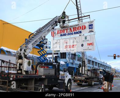 Iditarod-Rennen 2023 Stockfoto